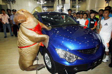 Is that a walrus?  In a bikini?